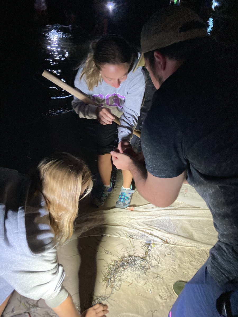 susi4ed's tweet photo. A night to remember - fishing expedition by flashlight
@StEdsVero
@StEdsMiddle
#howsesconnects https://t.co/3zZpINX1LW