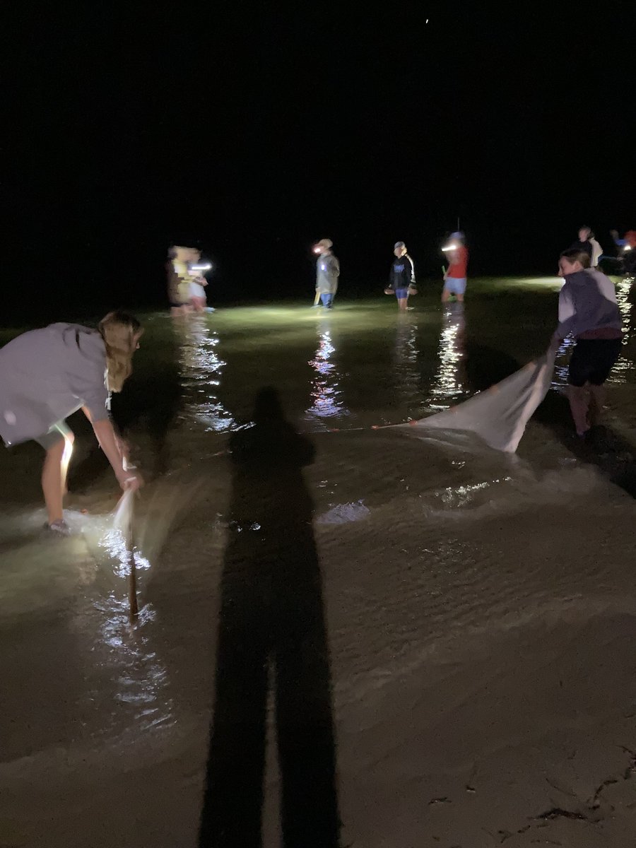 susi4ed's tweet photo. A night to remember - fishing expedition by flashlight
@StEdsVero
@StEdsMiddle
#howsesconnects https://t.co/3zZpINX1LW