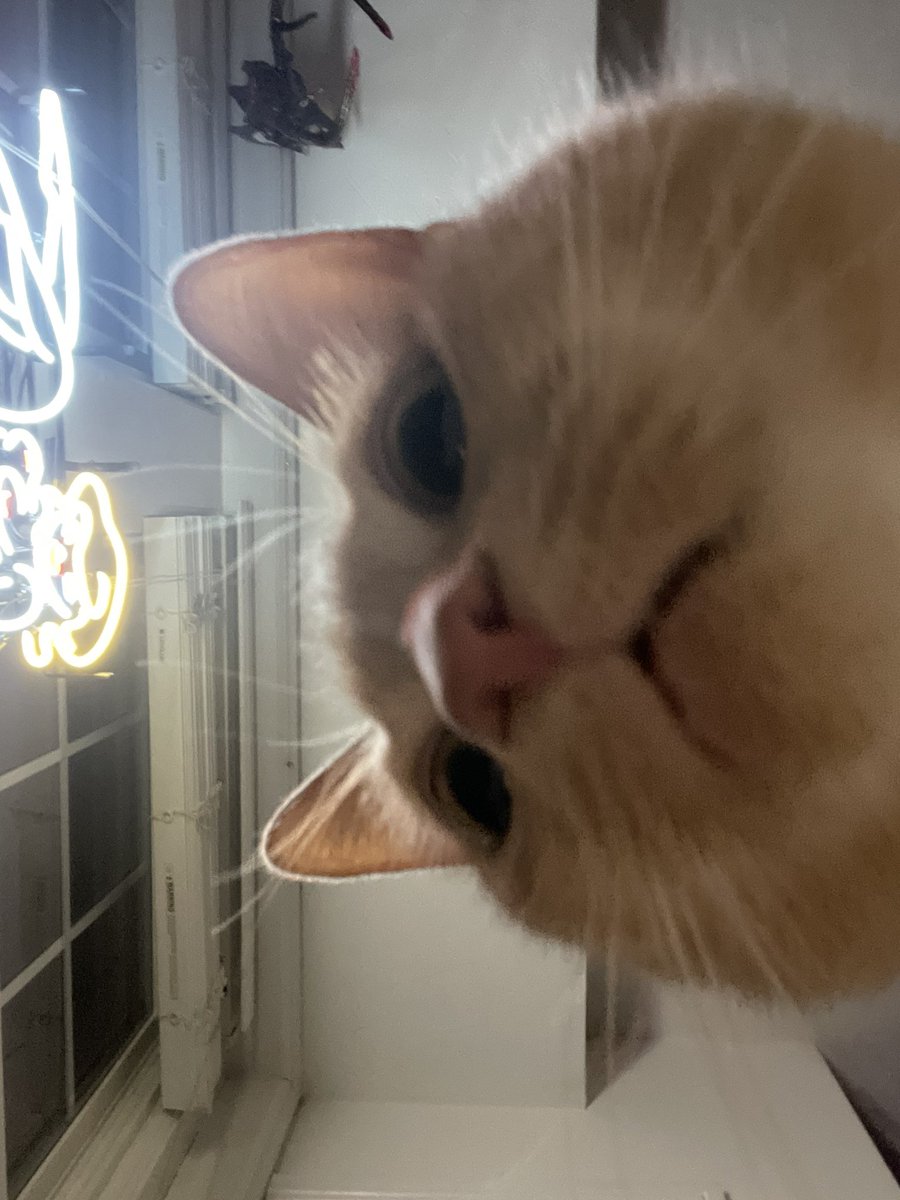 Pov you are a tasty treat