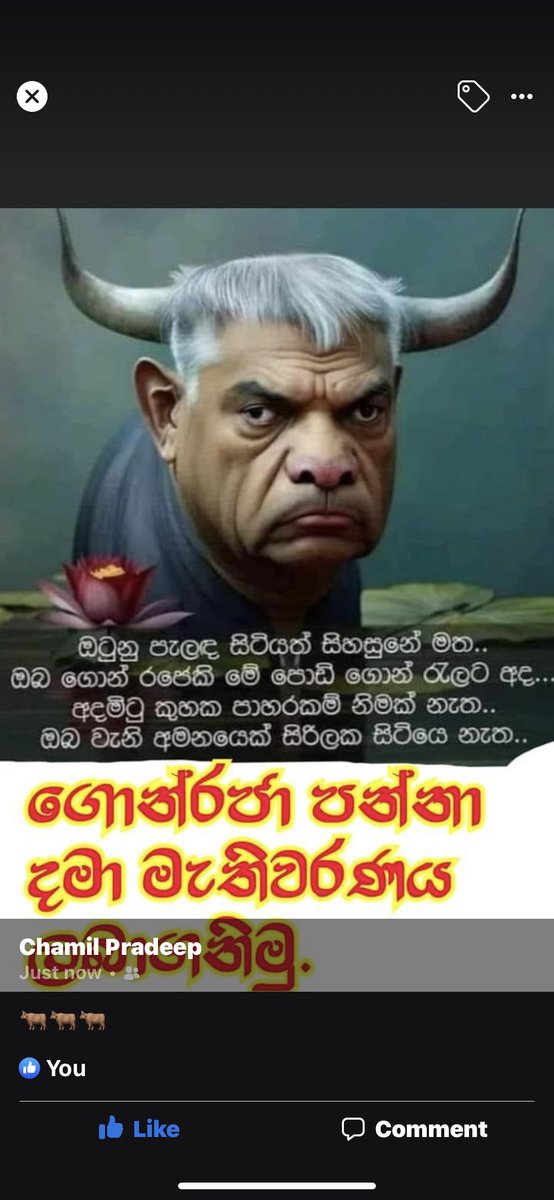 රට කන්න ආපු අමන කාලකන්නියා එලවිමට කාලය ඇවිත්!