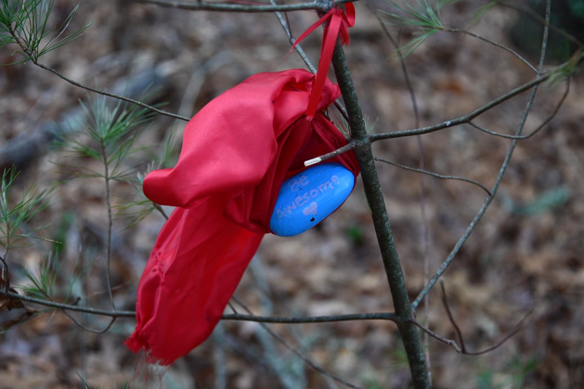 On the trail this morning at the Bourne Sisters Woodland, part of the Bourne Conservation Trust. 

#beawesome