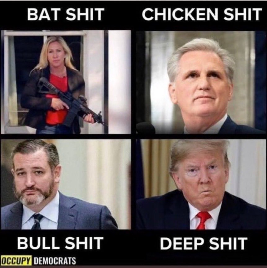 Bwahahahaha 🤣😂😹