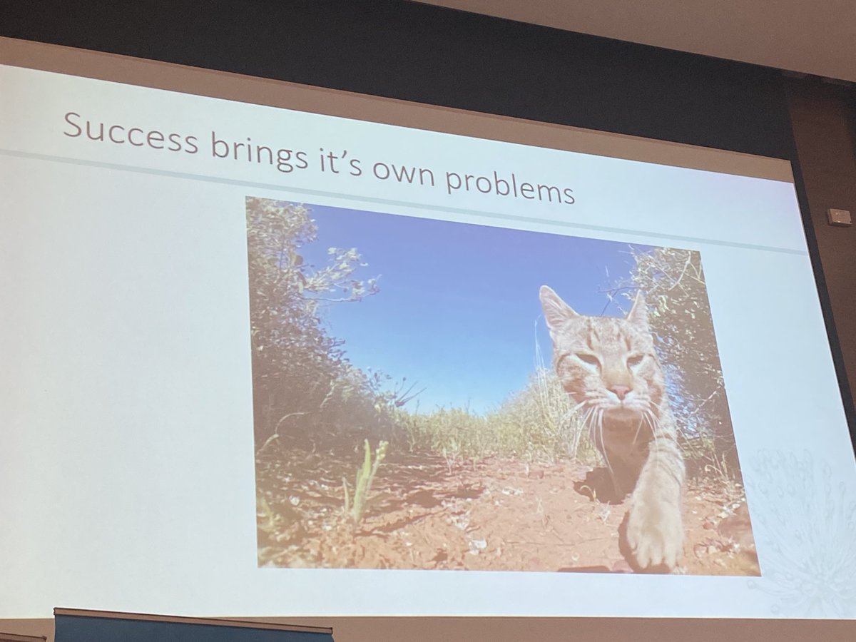 Hugh McGregor talks about the ideal meal for a #feralcat being about 200g, which is half a quoll, six hopping mice or 1/4 of a bilby. at @AridRecovery they were hunting along outside the predator proof fence 'cat food farm' #WAFeralCat23