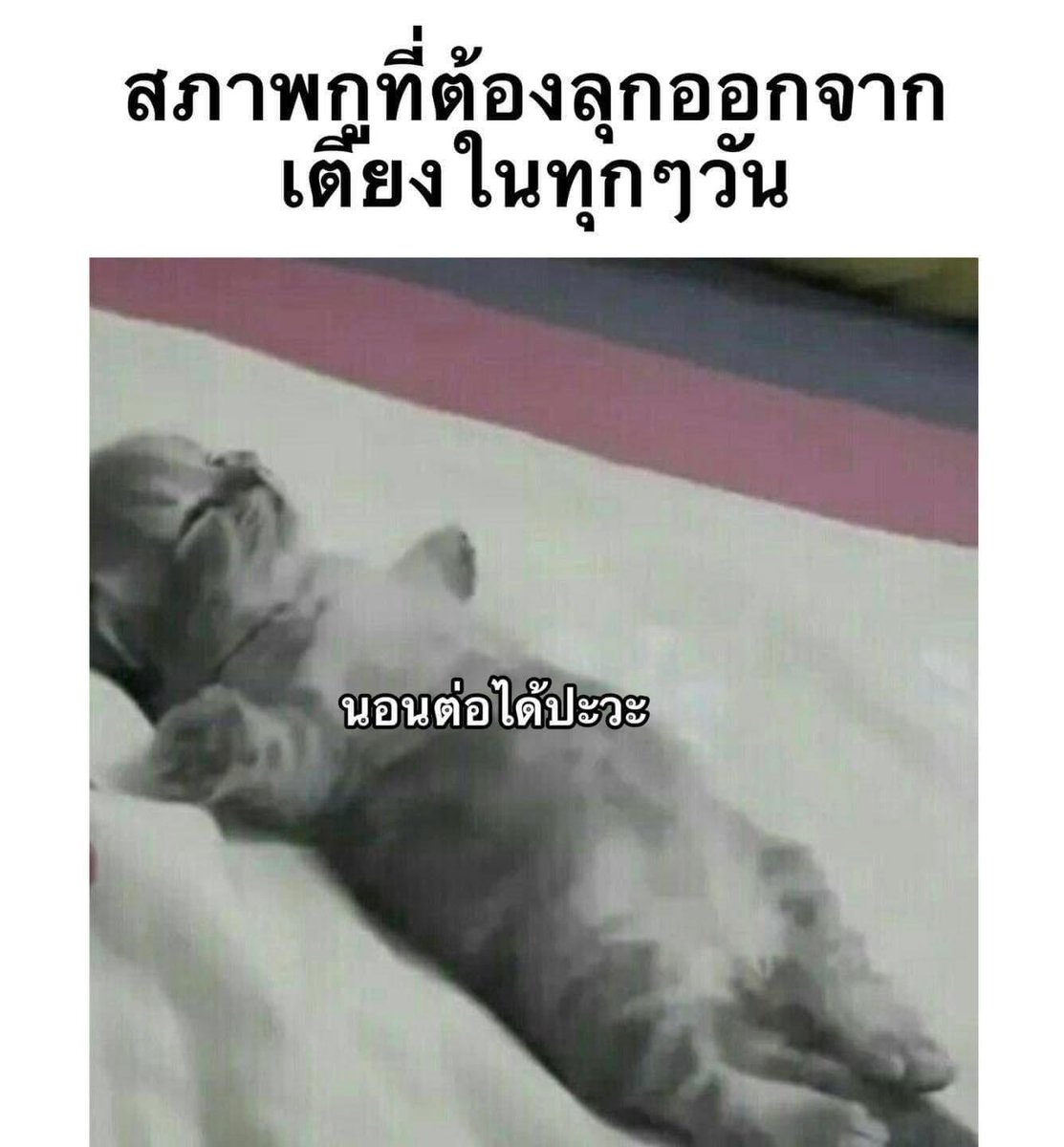 กูสภาพนี้เลย 55555555555555555555