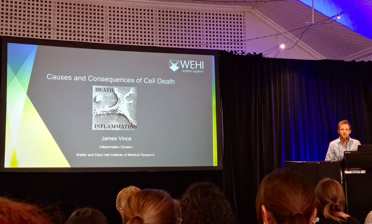Fantastic talk at #lorneiandi from (the still Twitter-less) A/Prof James Vince of @WEHI_research, exploring the roles of iNOS and caspase-8 in disease - and yes, more people should be working on programmed #celldeath! 🤩☠️ @The_VIIN @AusCellDeathSoc