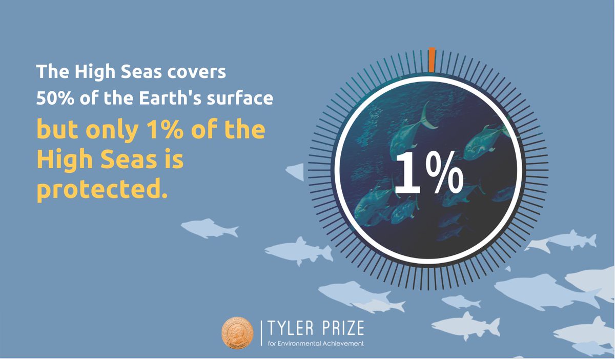 Tyler Prize for Environmental Achievement (@tylerprize) on Twitter photo 🚨Please retweet! 🚨
Treaty talks begin next week!
Sign the petition asking #BBNJ to ban fishing on the High Seas
change.org/p/fishing-the-…
<a href="/DrRashidSumaila/">Rashid Sumaila</a> <a href="/PaulREhrlich/">Paul R. Ehrlich</a> <a href="/SeaCitizens/">Dr. Nancy Knowlton</a> <a href="/EarthOptimism/">Earth Optimism</a> <a href="/OceanOptimism/">OceanOptimism</a> <a href="/ferminkoop/">Fermín Koop</a> @marinepolicy <a href="/IucnOcean/">IUCN Ocean Team</a> <a href="/Duncan_Currie/">Duncan Currie</a> <a href="/seaspiracy/">seaspiracy</a> 🚨Please retweet! 🚨
Treaty talks begin next week!
Sign the petition asking #BBNJ to ban fishing on the High Seas
change.org/p/fishing-the-…
<a href="/DrRashidSumaila/">Rashid Sumaila</a> <a href="/PaulREhrlich/">Paul R. Ehrlich</a> <a href="/SeaCitizens/">Dr. Nancy Knowlton</a> <a href="/EarthOptimism/">Earth Optimism</a> <a href="/OceanOptimism/">OceanOptimism</a> <a href="/ferminkoop/">Fermín Koop</a> @marinepolicy <a href="/IucnOcean/">IUCN Ocean Team</a> <a href="/Duncan_Currie/">Duncan Currie</a> <a href="/seaspiracy/">seaspiracy</a>