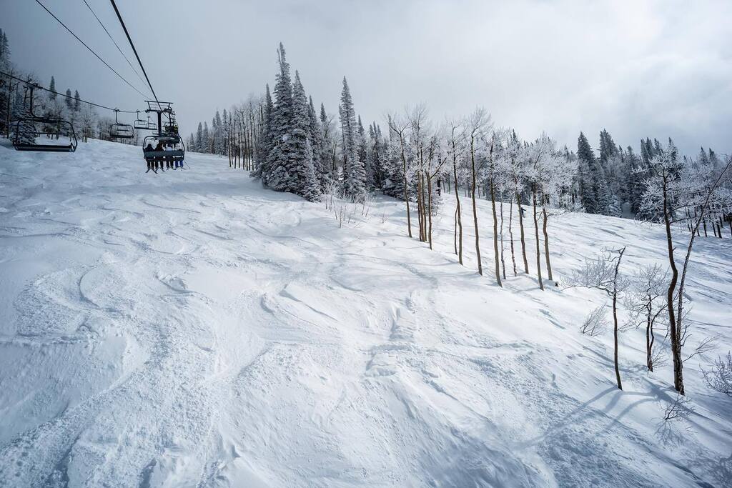 stirwise's tweet image. Powder day
.
.
#skication #steamboatsprings #🌨️ #leicam #leicam10 #nokton21mmf14