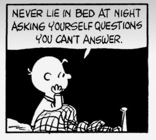“Nunca te quedes despierto en la noche en tu cama, haciéndote preguntas que no puede contestar”. Charlie Brown.