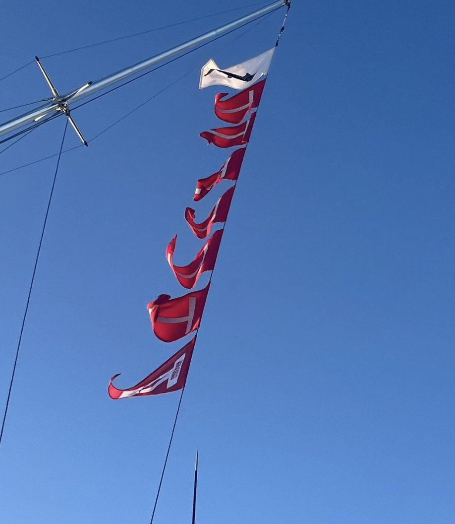 BillfishReport's tweet image. Port Stephens, Aus - Cookie released 7 Black Marlin. #BlackMarlin #PortStephens