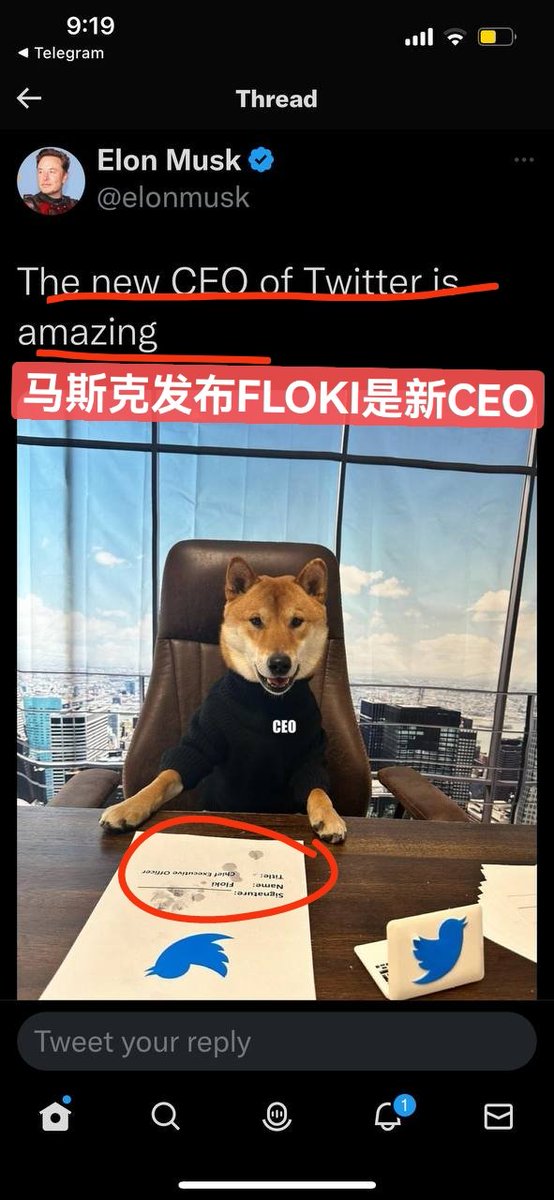 我们用放大镜🔍看看埃隆马斯克在说什么(⊙o⊙)哇超级惊人！大家已经疯狂了！超级巨大！而且马斯克还说，FLOKI比其他都好！明确了新CEO的地位，""摊牌了，不装了，我是亿万富翁""🤣🤣🥳🥳👍👍 #FLOKI Amazing news! Someone who can understand what I say will receive my gift in 2025.<a href="/RealFlokiInu/">Floki</a>