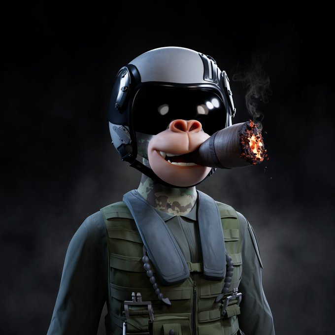 TankMan33169's tweet photo. ➡️What is a @BullsApesProj Dynamic NFT?

➡️It is an NFT that you can change all aspects of it

➡️Here I started with a camo body ape and added a flight suit and pilot helmet

➡️Then changed out the facial expression with a cigar

➡️Then swapped the cigar for a toothpick

➡️Then added a rocket launcher

➡️There are no limits and every aspect of the Ape can be changed. Fur, eyes, facial expression, clothing, and accessories to name a few

➡️All done on our website then minted as a new NFT that lives on the blockchain

🚀Oh and you can change it even after minting over and over again