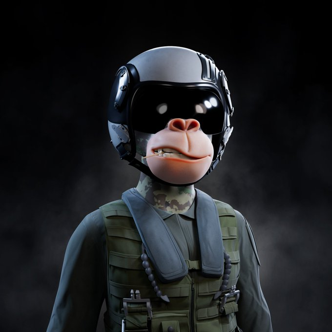 TankMan33169's tweet photo. ➡️What is a @BullsApesProj Dynamic NFT?

➡️It is an NFT that you can change all aspects of it

➡️Here I started with a camo body ape and added a flight suit and pilot helmet

➡️Then changed out the facial expression with a cigar

➡️Then swapped the cigar for a toothpick

➡️Then added a rocket launcher

➡️There are no limits and every aspect of the Ape can be changed. Fur, eyes, facial expression, clothing, and accessories to name a few

➡️All done on our website then minted as a new NFT that lives on the blockchain

🚀Oh and you can change it even after minting over and over again