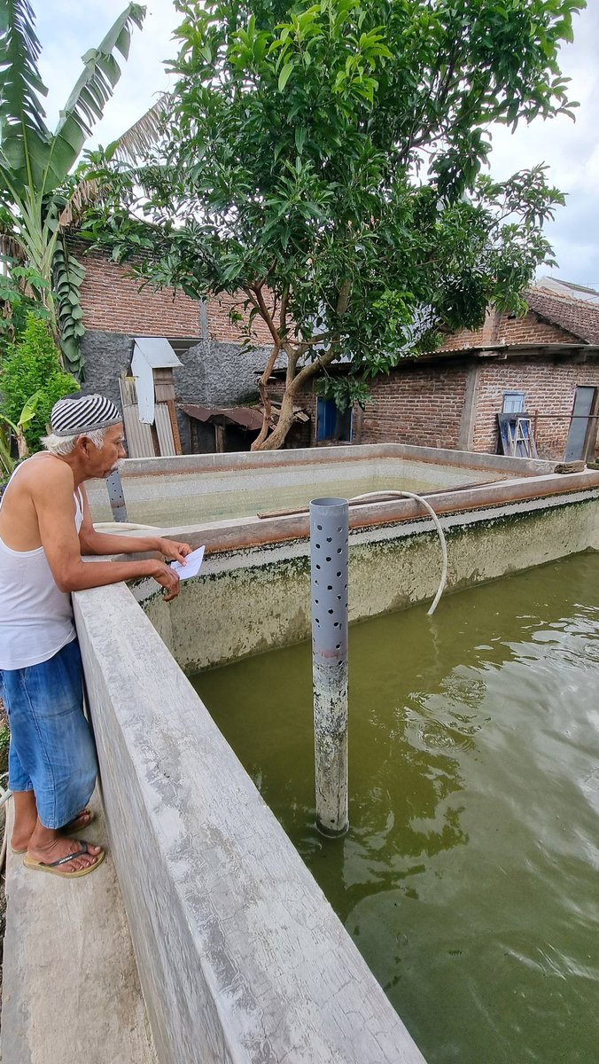 Risdyamasta23's tweet photo. (15/02/23) Rianda, Luhkan Kota Madiun, Pendampingan panen lele Pokdakan Srimino Kel. Mojorejo Kec. Taman Kota Madiun, Panen Lele 160kg, Harga 18.000/kg, size 10-12, Tebar 2000 ekor, Pakan 180kg  #GiatLuhkanSatminkalBWI  #luhlapor #KotaMadiun @bppp_banyuwangi @puslatluhkp https://t.co/vHDIrOhGCO