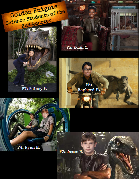 Amanda Gingue tweet media