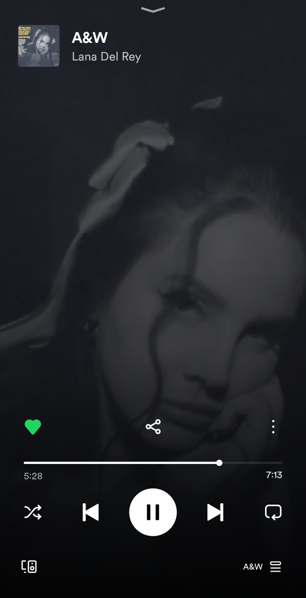kiwifruitjam's tweet photo. Lana Del Slay is back, faggots https://t.co/jUp4CytUY9