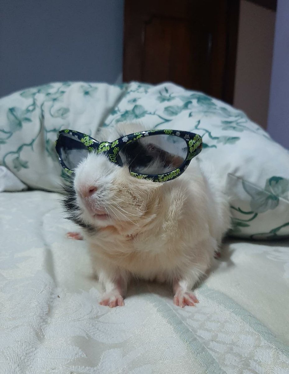 feliz día a la amistad que más extraño físicamente, dónde sea que estés te mando un pepino panzón