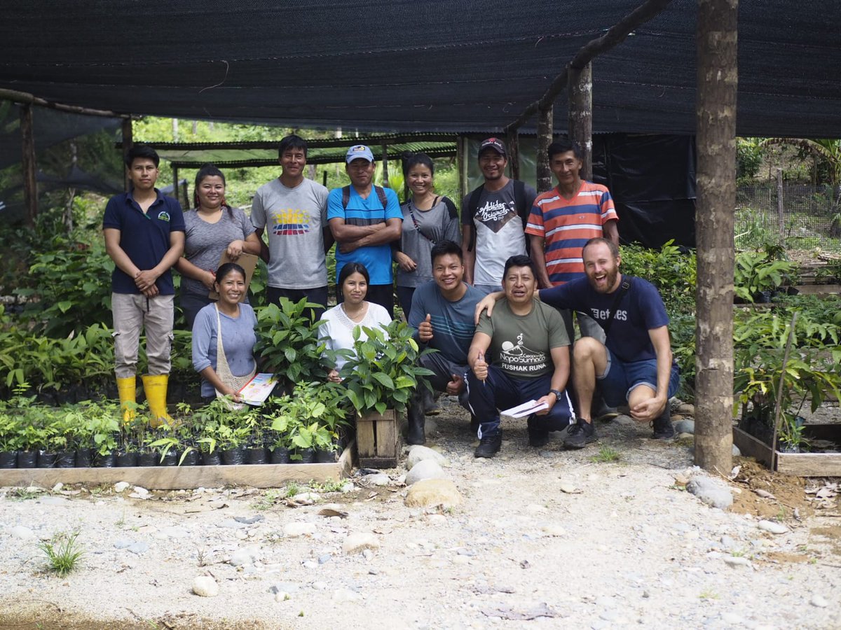 We've just received this picture and a big "THANK YOU" from the team behind our tree project in Ecuador 🙂❤️