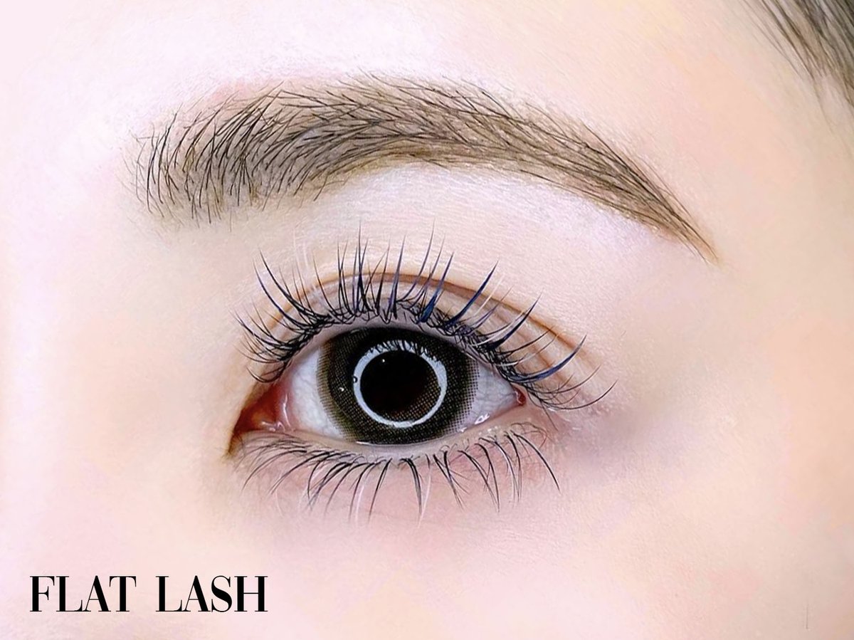 Grandouja_'s tweet photo. FLAT LASH

Grand Ouja【ご予約はこちら】
https://t.co/mGIQGcTcpD

#アイメイク 
#アイラッシュ 
#eyelash https://t.co/AKX94roqhr