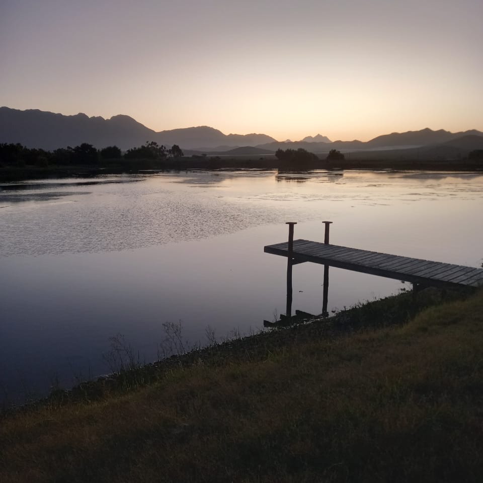 Good morning, One of the perks of farm life is being out there for moments like this - Excelsior Wine Estate

#Robertsonwinevalley #excelsiorwineestate #wine #excelsior