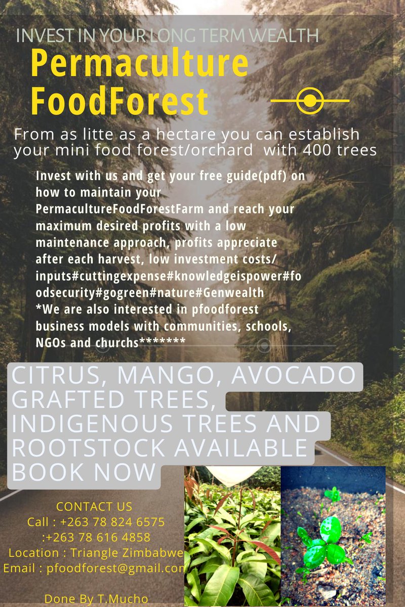 MuchonoTadiwa's tweet image. #selfsustaining #pfoodforest
