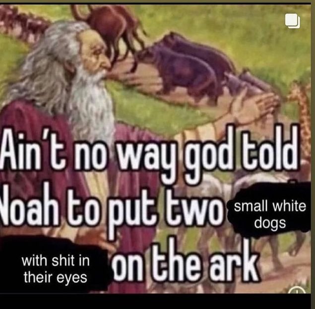 ShitpostGateway (@shitpostgate) on Twitter photo 