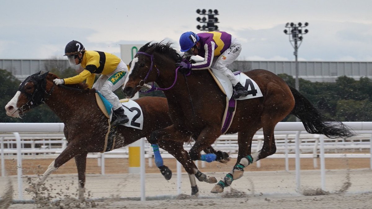 坂田博昭 tweet media