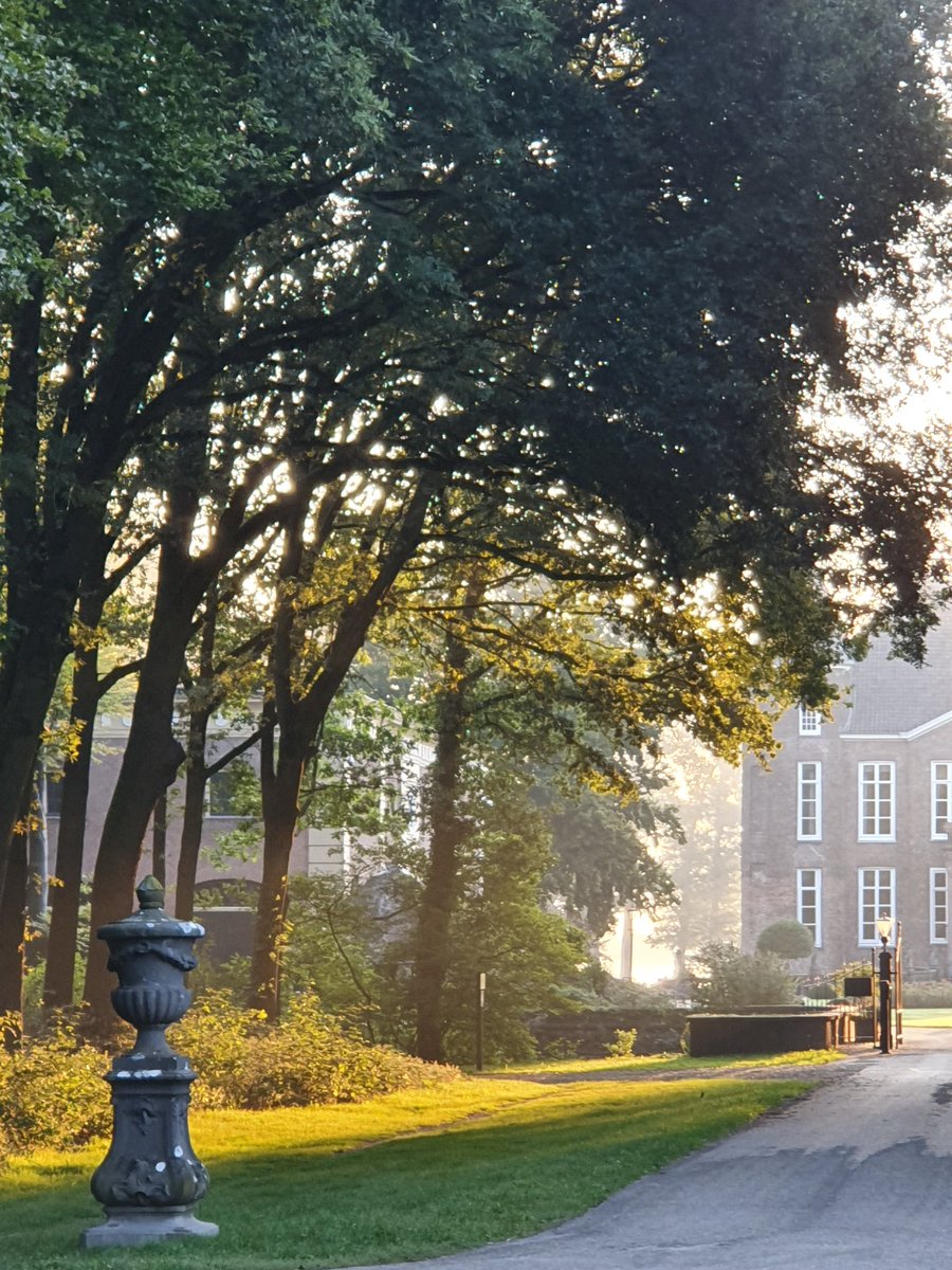 JelleVitesse's tweet photo. Dag 13 #KleurInDeNatuur 

Vandaag #Lichtgeel

Het blijkt dat ik blijkbaar geen voorkeur heb voor geel,  of dat komt niet veel voor.
Dit is mijn keuze voor vandaag. De ingang van #Kasteel #Biljoen in #Velp.
Het warme zonlicht in de ochtend. https://t.co/ti3Blb0efd