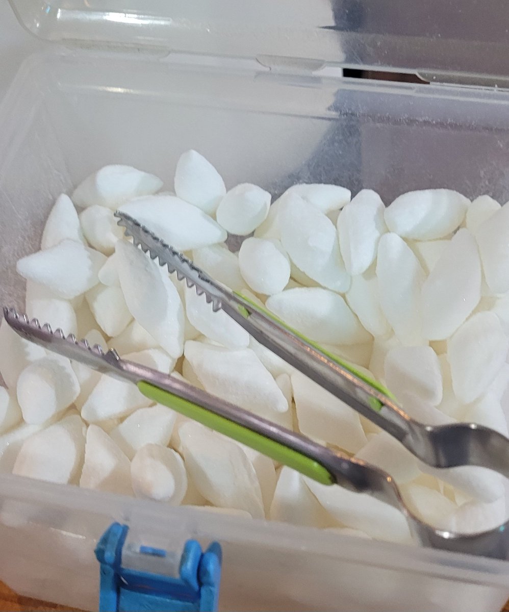 이 사탕 알면 rt
모르면 맘