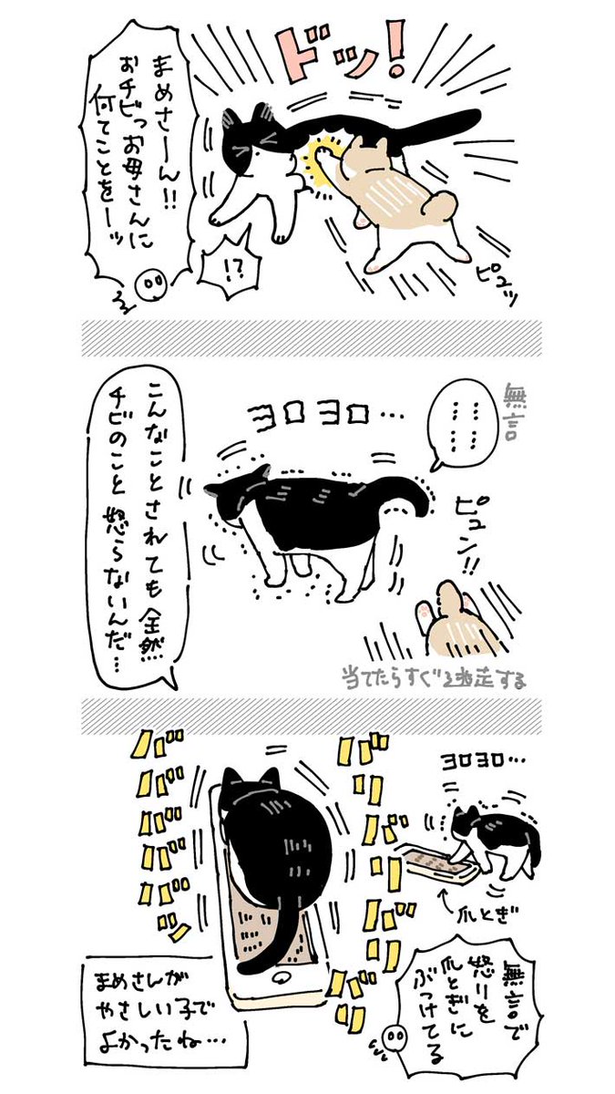 子猫が突然の『張り手』! 母猫の行動は…? https://t.co/ZF2k8WzGIJ @grapeejpより 