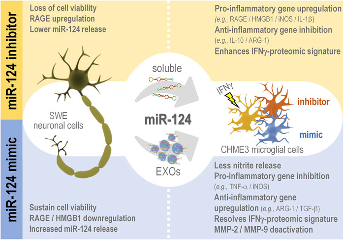 Dr L Boominathan PhD on Twitter: