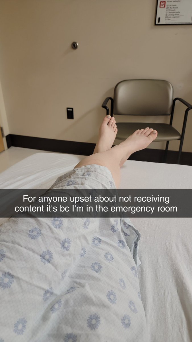 Jadan wolfie on Twitter: "Content is paused, and I will not repeat myself again"