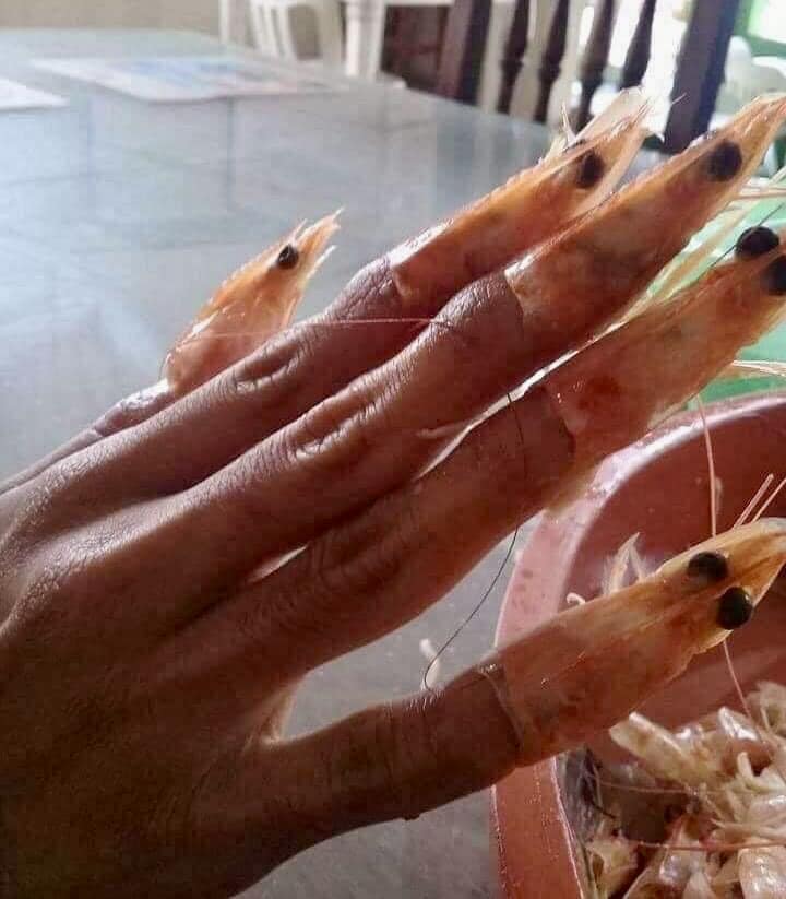 MOLDEDMIA's tweet photo. mother miranda's nails https://t.co/YwrrJNWSfB