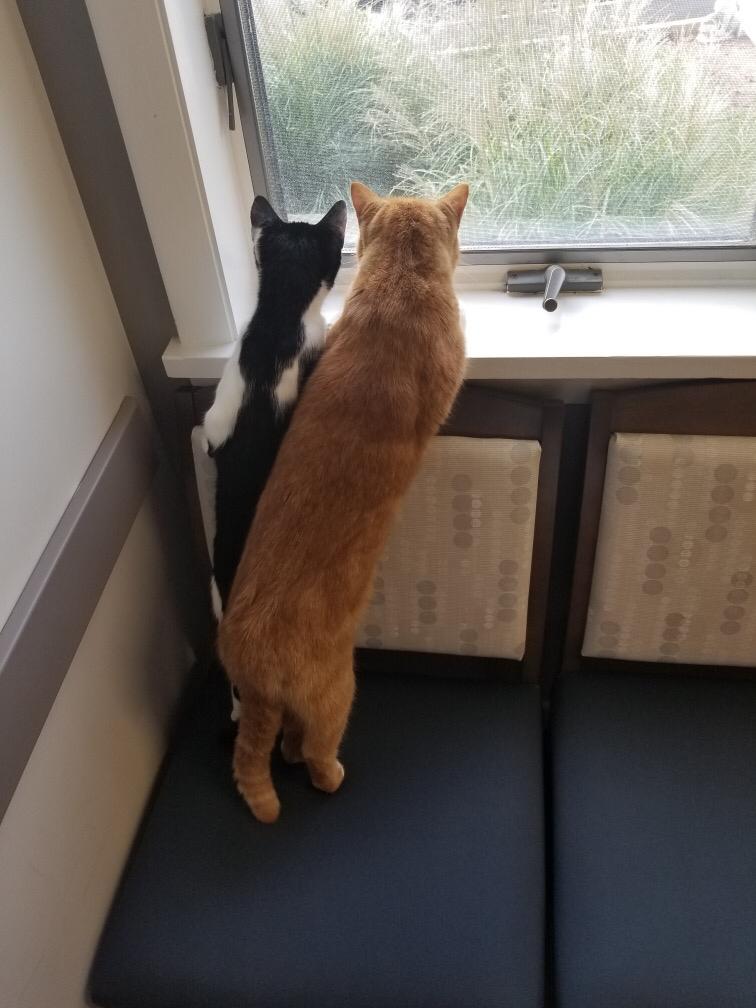 Early Childhood Education Department (ECE), EdUHK tweet media