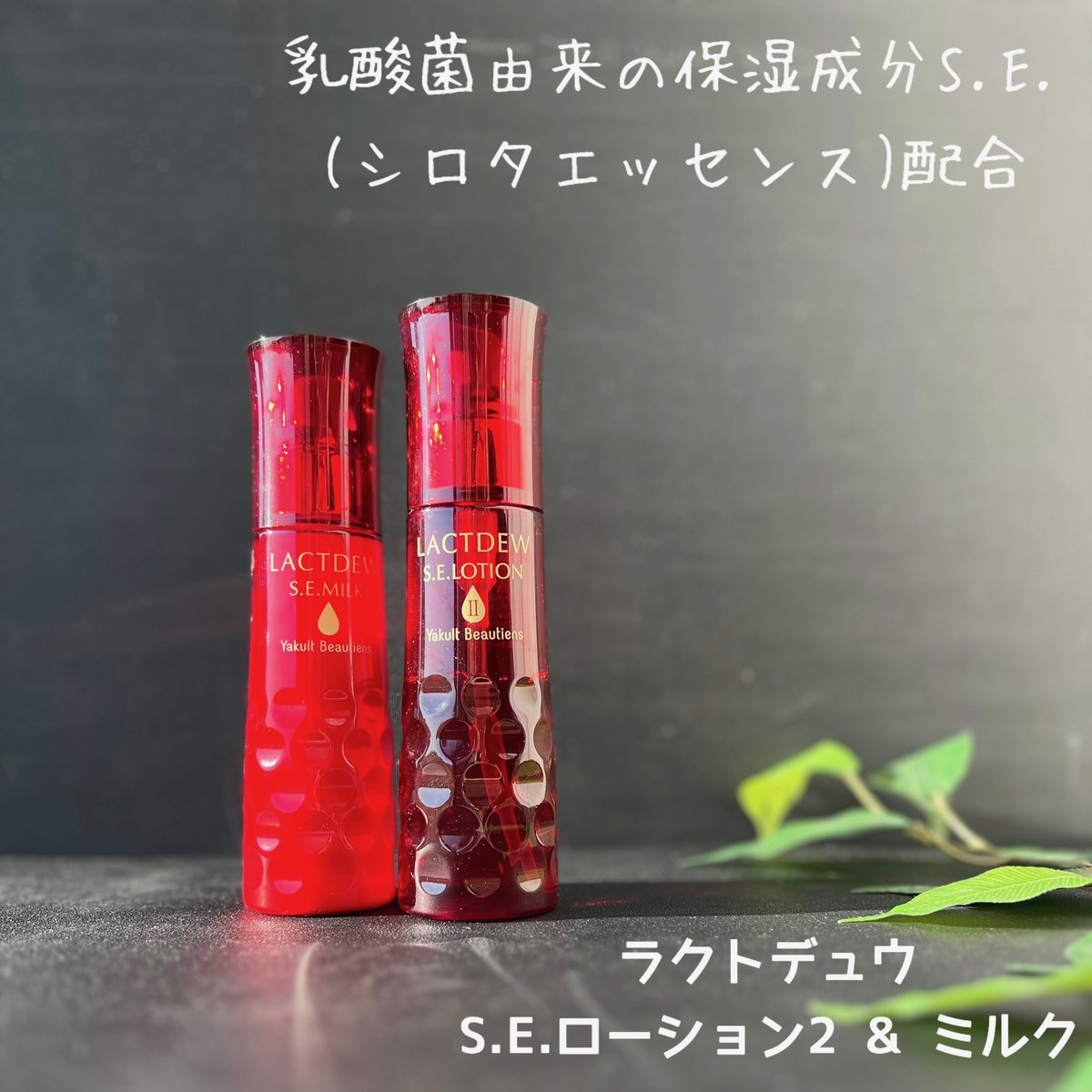atco0's tweet photo. #ラクトデュウ 
S.E.ローショ���2 &amp; ミルク
乳酸菌由来シロタエッセンス配合
ヤクルトのスキンケア

ローションとミルクをライン使い中
夜使って朝までしっとり
しっとり潤いが長続きするから
ふっくらハリのある肌に近づきそう♡

#ラクトデュウ #ヤクルトの乳酸菌スキンケア #ハリふわサイン #PR https://t.co/O4krWmSLBt