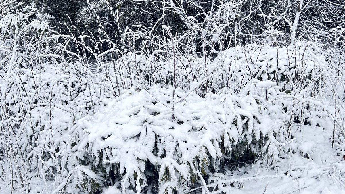 Tammy_gunter2's tweet photo. This man is my whole ❤️All I wanted for Valentines is to se e ❄️! He has made this weekend magical! Two more days of this ! I’m Heaven !
#SoMagical
#Thisweekisgoingbeepic
#Snowpretty❄️☃️🍾🥂
@gunterracing28 https://t.co/37oRiA3sWA
