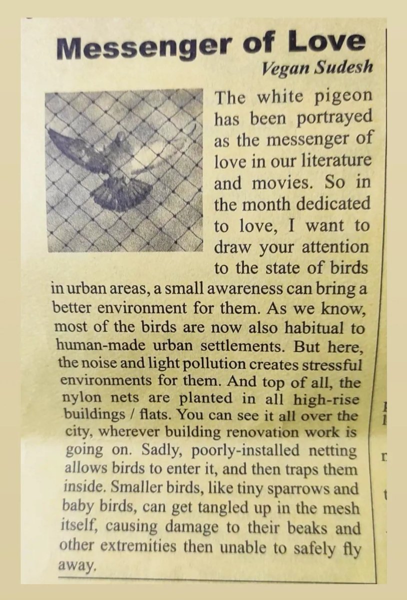 Messenger of #Love! ❤🐦🐦

📱veganmumbai.com

#vegansudesh #sudeshfoundation #SaveBirdsServeNature #SaveBirds
#birdslover #veganindia #TweetsNow #veganmumbai #India #BirdsOfTwitter