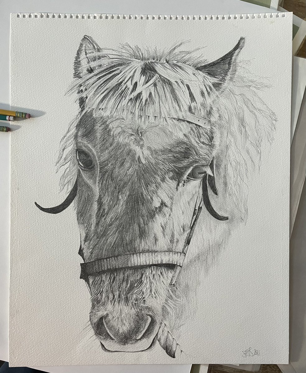 SarahSm20505's tweet photo. Once upon a time there was an old broken down pony that was given to a little girl with an enormous β€οΈ her love gave that old pony the life of a race horse ( in their β€οΈππβ₯οΈπ). Beautiful old Brushka- and Icelandic-cross.
#oldponies #firstponies #littlegirlsandponies https://t.co/RYlPfpAn9Y