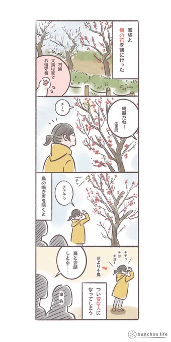 外でも鳥に出会うとついコミュニケーションを取りたくなる
#文鳥 
#4コマ漫画 