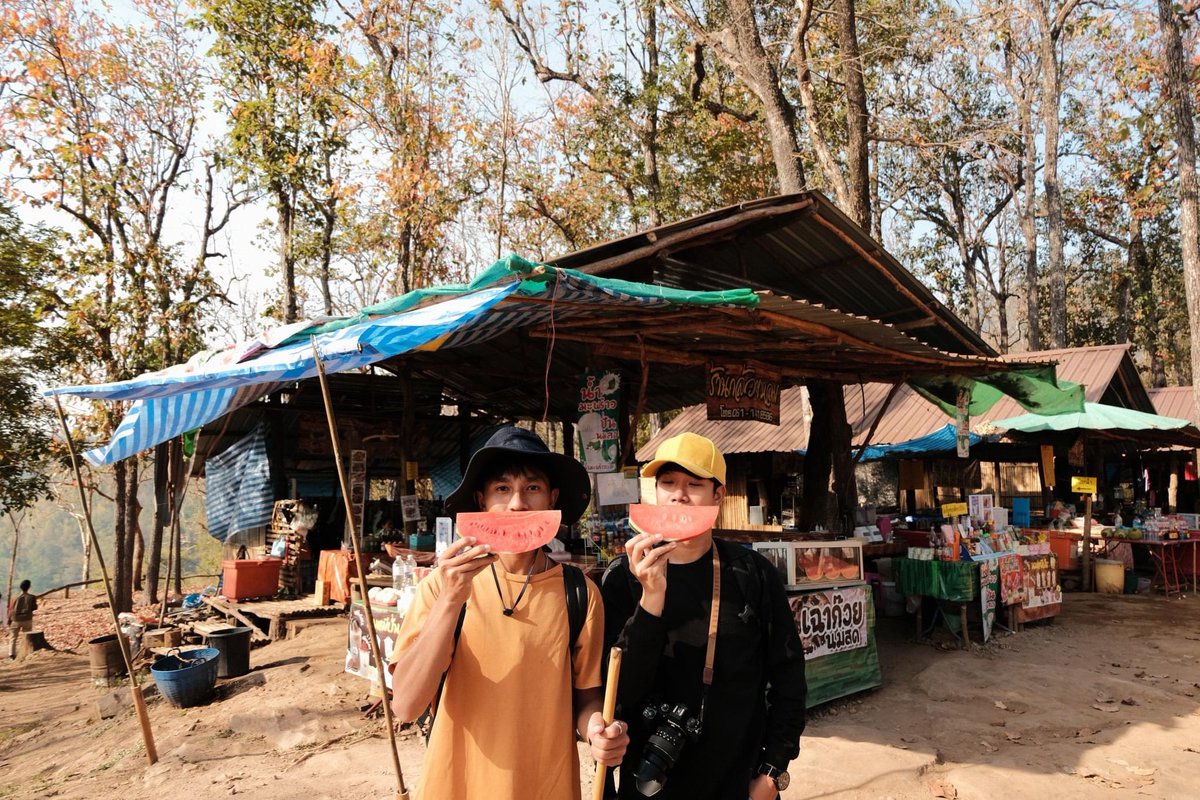 petchpechon's tweet photo. เป็นการเดินขึ้นภูกระดึงครั้งแรกของเพชรเลย 
และก็เป็นครั้งแรกที่เดินป่าแบบจริงจังมากๆ เคยได้ยินเขาว่ากันว่าถ้าอยากเดินป่าหรือเป็นมือใหม่ ให้ลองไปเดินที่ภูกระดึงก่อน 

📍ภูกระดึง จ.เลย
.
#Petchography #เพชรถ่าย
#อุทยานแห่งชาติภูกระดึง #เลย
#nature #ธรรมชาติบำบัด https://t.co/DDpYcWpT0D