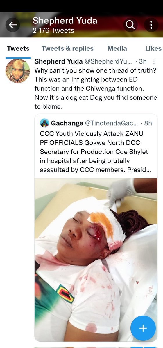 CrApostle's tweet photo. @TinotendaGacha1 @2023edpfee @ChimhamhaZw @dereckgoto @Eddie_Gore1 @MadzivaNehemiah @MulakazuvaL @Chana83374434 @CCCMasvingo Exposing propaganda brick by brick https://t.co/q3msxS148x