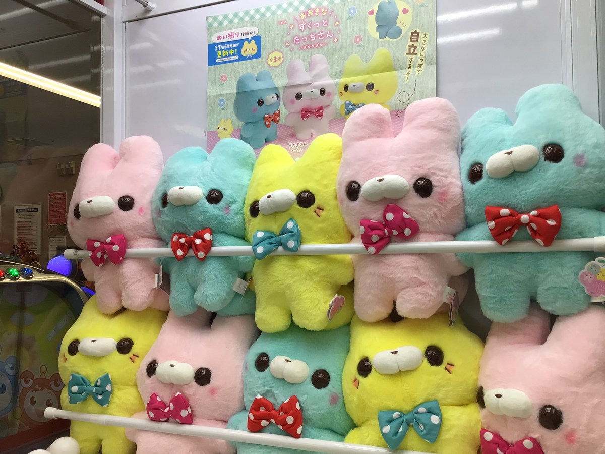 豪華な すくっとたっちさん お誕生日カラー セット おたんじょうびから