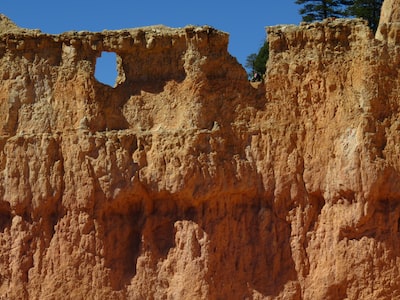 whitedovecrafts's tweet image. Photo By Peter Gonzalez | Unsplash 
 #coloradotrails #outdoors #customfurniture #hotmilk #outdoorfitness