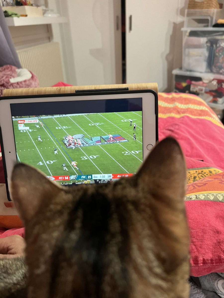 elena_monges's tweet image. #lequipeNFL