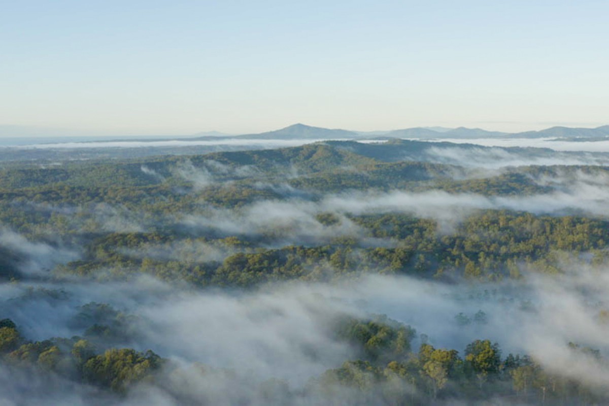 DCCEEW (@dcceew) on Twitter photo .<a href="/NorthCoastLLS/">North Coast LLS</a> have been doing important work alongside Traditional Owners, landowners, and community groups over the last 3 years to restore and enhance forests for koala conservation 📼 fal.cn/3vOIA .<a href="/NorthCoastLLS/">North Coast LLS</a> have been doing important work alongside Traditional Owners, landowners, and community groups over the last 3 years to restore and enhance forests for koala conservation 📼 fal.cn/3vOIA