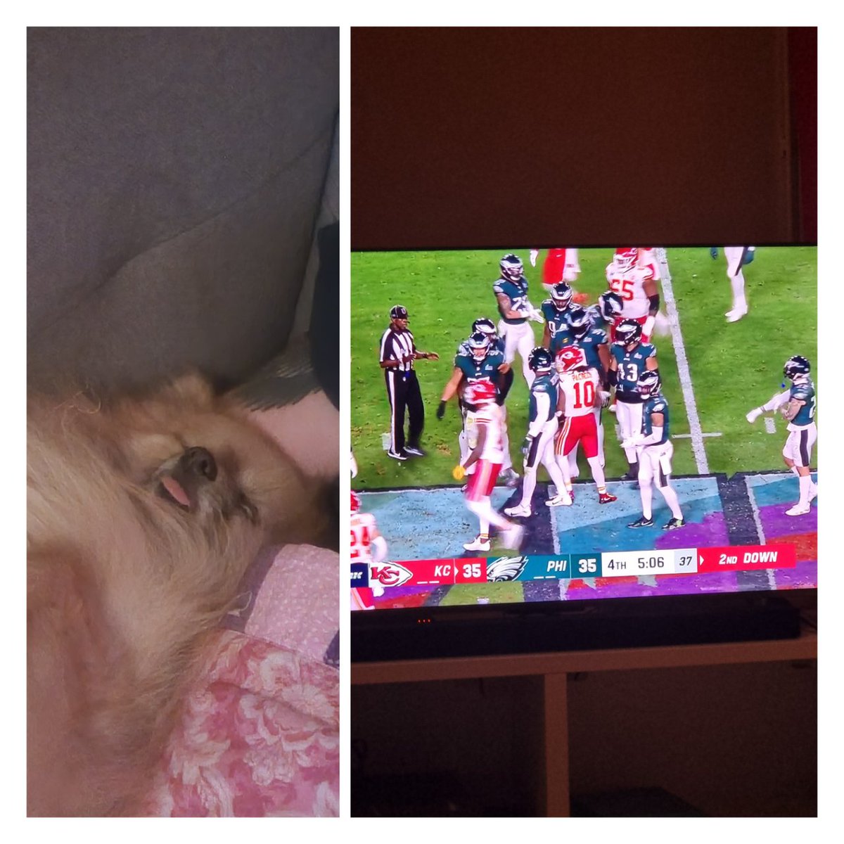 THIBILAN's tweet image. #lequipeNFL 4 heures. Toujours devant le match....mais le chien a lâché l'affaire 😅😅😅. Allez les Eagles 🏈🏈🏈