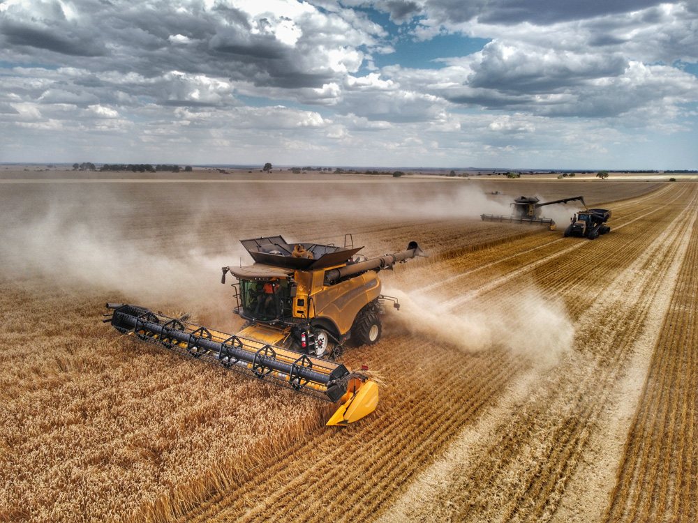 SeedDestructor's tweet photo. Shout out to @mcintoshandson , who visited J&J Glasfurd Farm in Dandaragan - WA and took these amazing pics📸
🚜@NewHollandAG fitted with IHSD Seed Destructor 😎
#iHSD #SeedDestructor #SimplerBetter #Farming #GRDC #Harvest22 #weedsmartau #HWSC #NewHolland #harveststillgoing https://t.co/ha7jHgY3tH