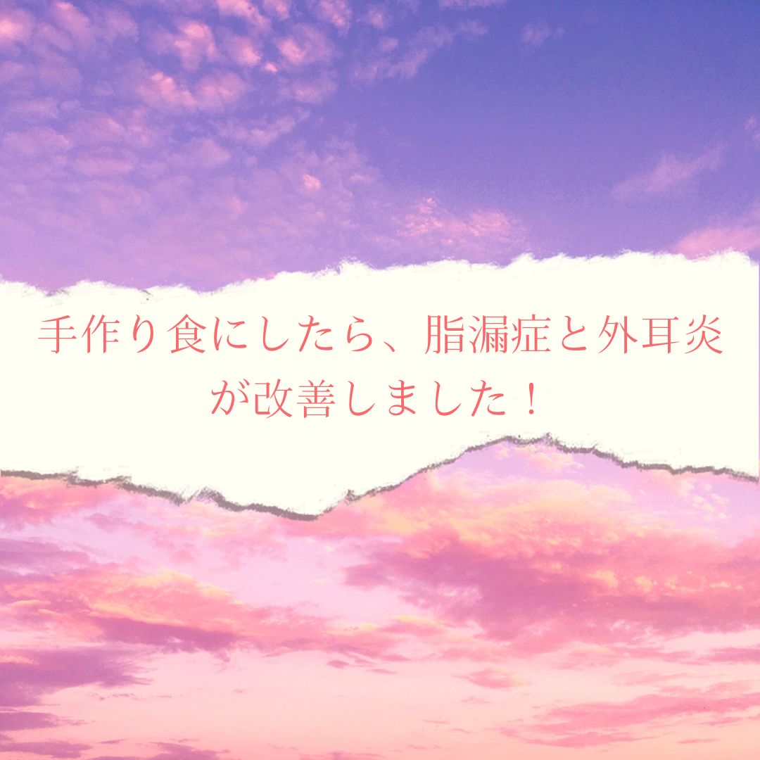 apna_jp's tweet photo. 【獣医師執筆】 手作り食にしたら、脂漏症と外耳炎が改善しました！https://t.co/GqoxHM3hUH
＃ペット食育協会 ＃須崎動物病院 ＃手作りごはん ＃犬 ＃猫 https://t.co/EFNydHuKXh