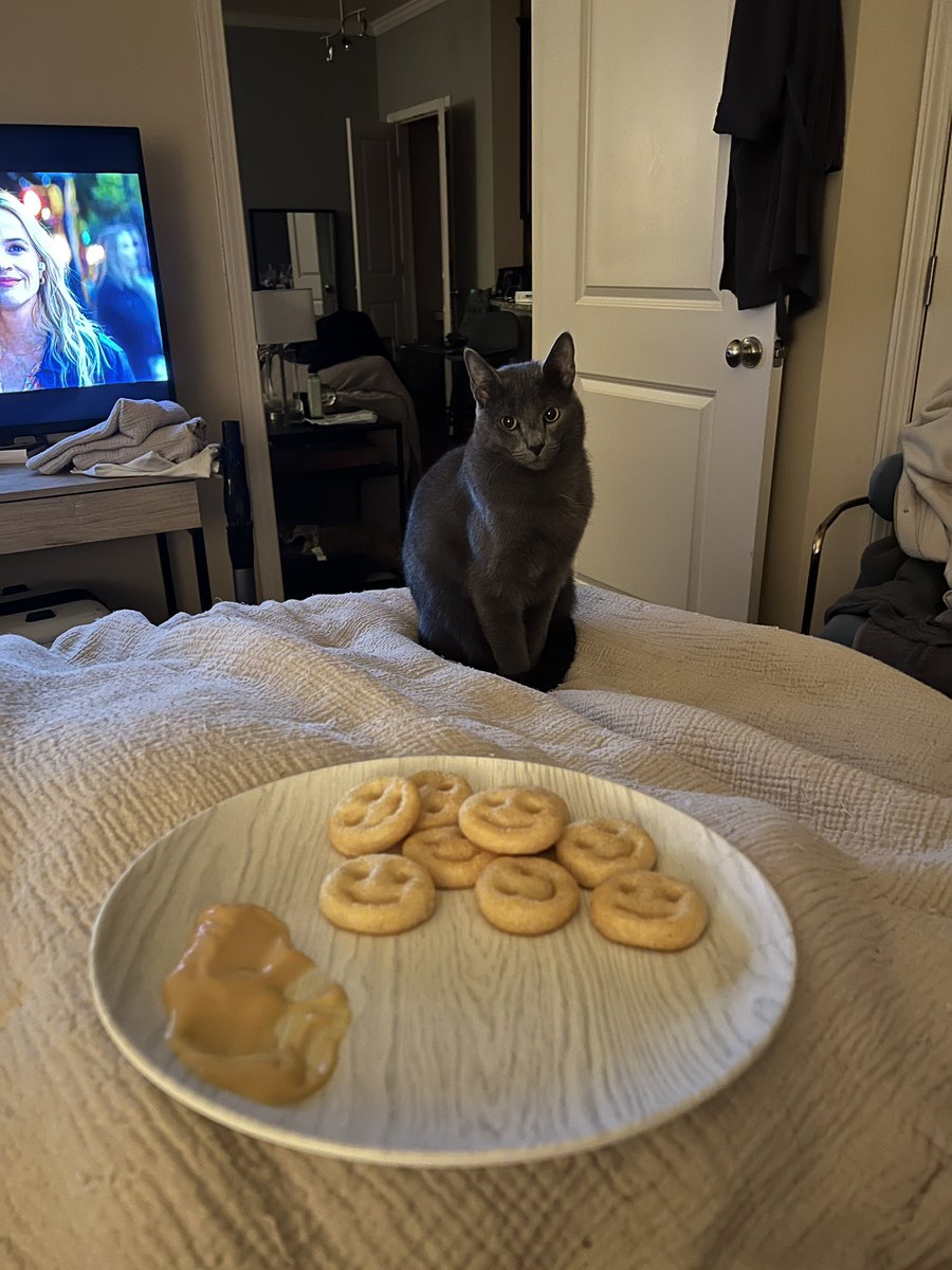 phil and rufus (party hat and party favor) tweet media
