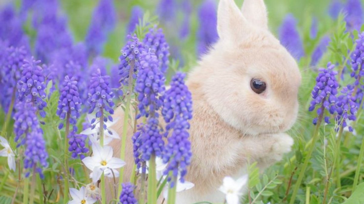 𝐀 (@ptnoren) on Twitter photo 