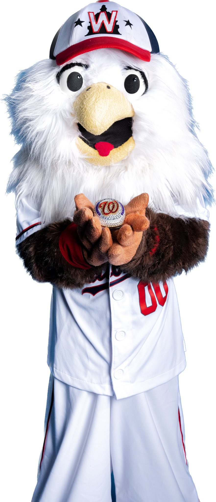 Nats mascot Screech and Momma Screech, at a Washington Nationals